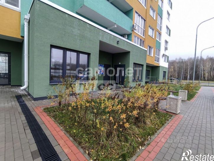 1-комн квартира ул Раздольная, 29,  д. 29