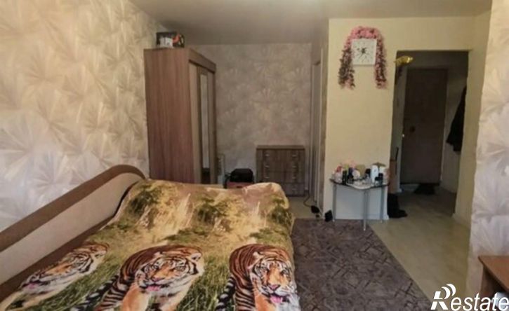 1-комн квартира пер Матроса Силякова, 6,  д. 6