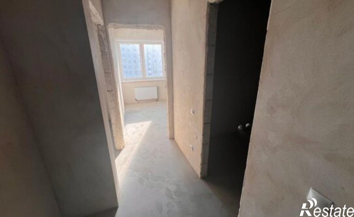 1-комн квартира ул Раздольная, 29,  д. 29