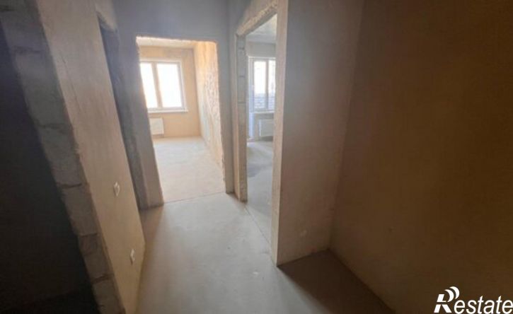 1-комн квартира ул Раздольная, 29,  д. 29