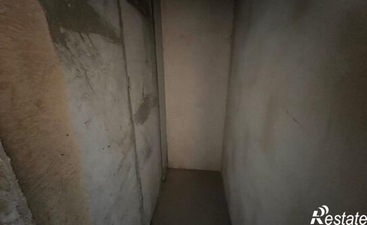 1-комн квартира ул Раздольная, 29,  д. 29