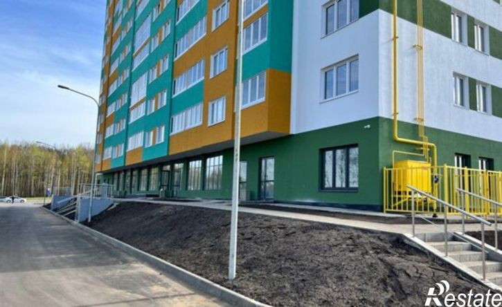 1-комн квартира ул Раздольная, 29,  д. 29