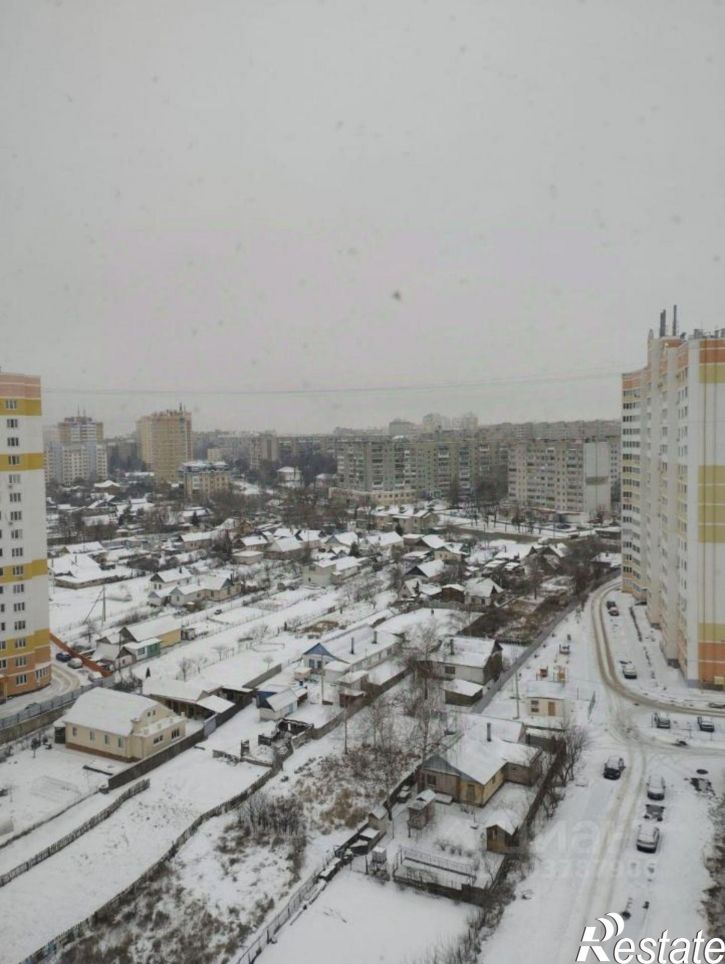 1-комн квартира ул Левый Берег реки Оки, 113,  д. 113